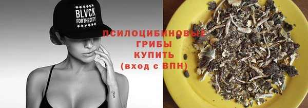 гидра Нязепетровск