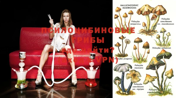 кокаин премиум Армянск
