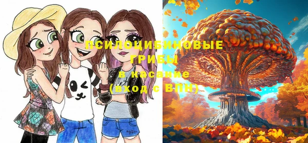 дмт Аркадак