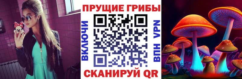 наркошоп  Хилок  Галлюциногенные грибы мицелий 